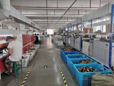 走出“足下經(jīng)濟”新道路 探秘橫峰鞋業(yè)涅盤重生